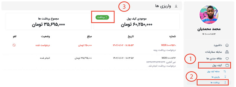 چگونه میتوانم موجودی کیف پول خودرا برداشت کنم؟